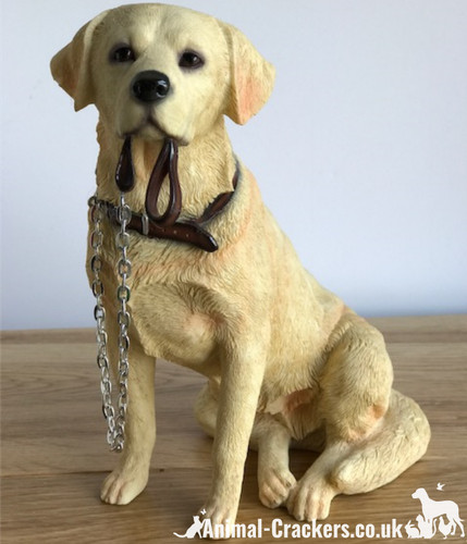Golden labrador large - labrador,