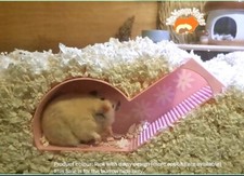 Hamster Burrow Hide, Hamster