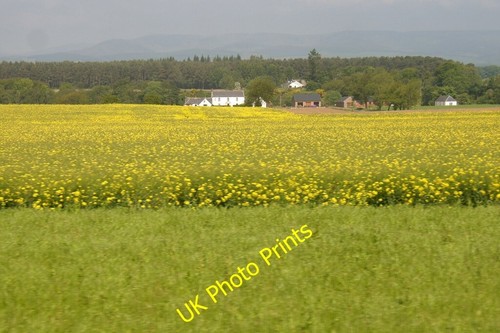 Photo 6x4 mill pert - mill, of