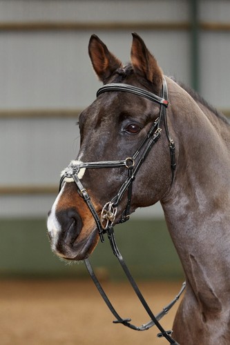 John whitaker valencia mexican - whitaker,