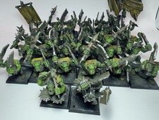 Orc Boyz Regiment x31 Painted