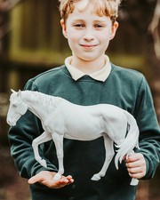 Rattlensake - mustang model