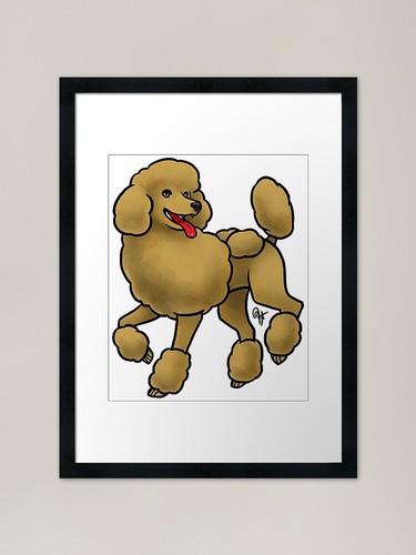 Dog standard poodle - dog,