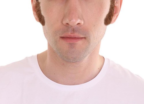Brown sideburns costume - brown,