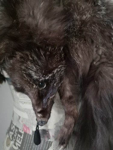 Silver fox fur stole - silver, antique