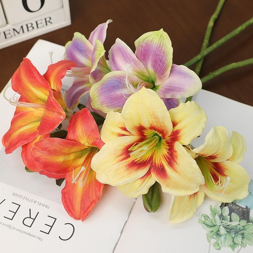 Flexible stem clivia - stem, blossom