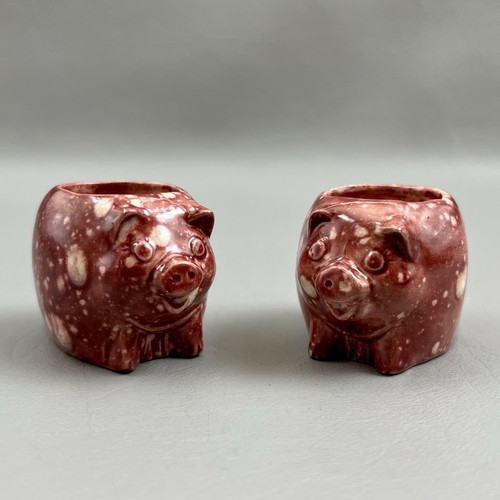 Set pot belly pig pots - set,
