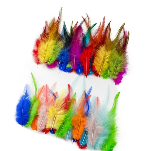 Colourful rooster feathers fly - colourful,
