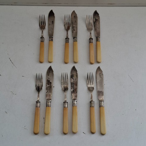 Sets vintage fish - 6, of