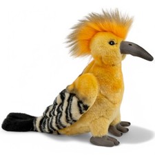 Carl Dick hoopoe bird approx