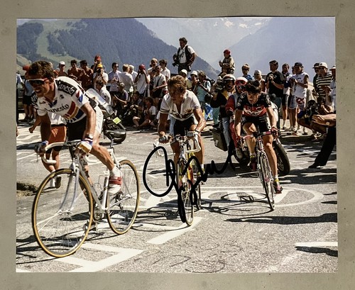 Greg lemond hand signed - greg, 10x8