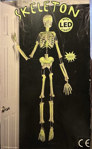 Halloween skeleton life size - halloween,