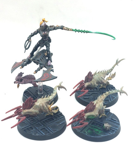 Drukhari beastmaster and - beastmaster, x3
