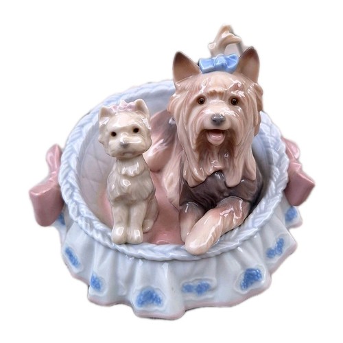 Lladro yorkshire terriors - lladro,