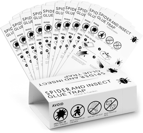 Pack sticky spider - sticky,