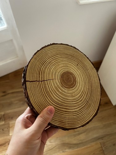 20cm wooden rustic tree trunk - 20cm,
