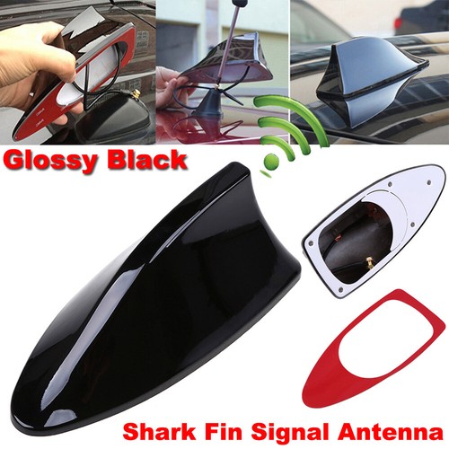 Black car shark - shark, fin