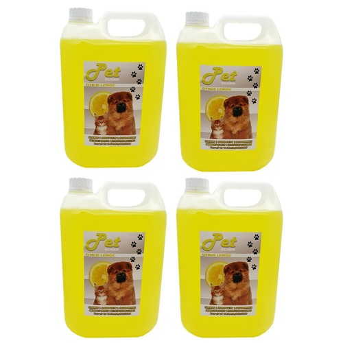 Pet cattery kennel - cattery,