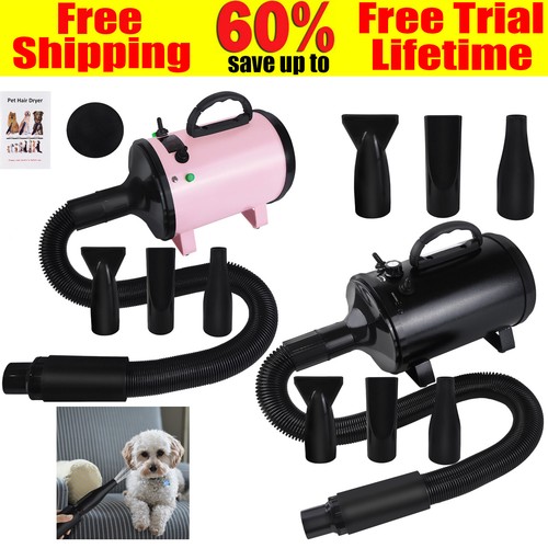 Professional pet hairdryer dog - pet,