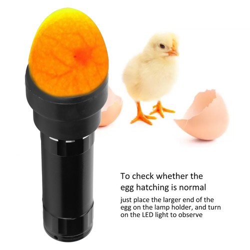 Egg candler tester lamp - tester, 9
