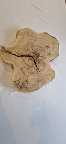 Kiln dried acacia wood slab - kiln,