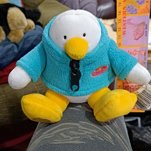 Woolworths quack duck - woolworths,