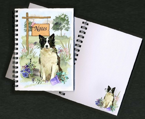 Border collie dog - collie,