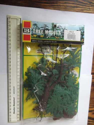 Britains oak tree - ,
