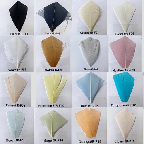 Stripped coque feather - stripped,