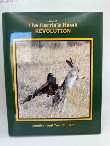The harris hawk - hawk,