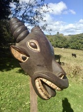 HEAD OF A BUSH COWFROM