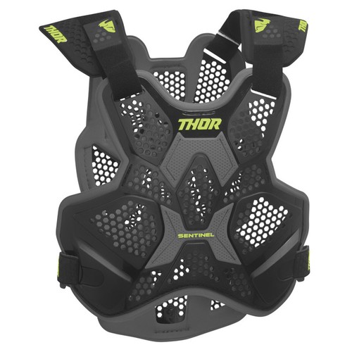 Thor sentinel ltd roost - thor,