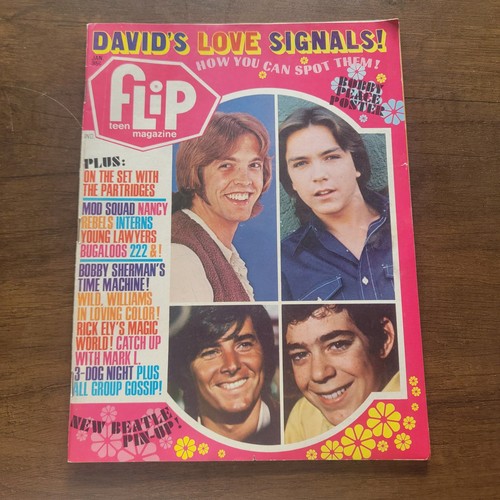Flip teen magazine january - flip,