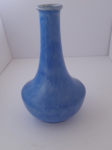 Chameleon warebottle vase - warebottle,