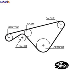 TIMING BELT 5463XS FOR PORSCHE