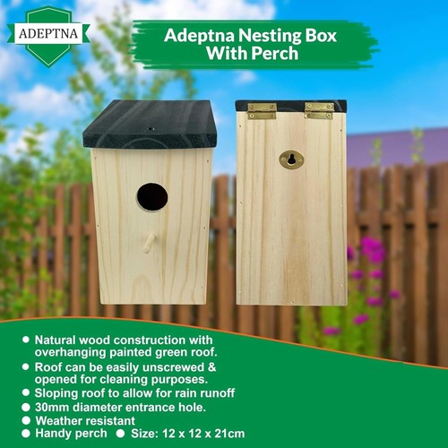 Wooden wild bird nest - wild,