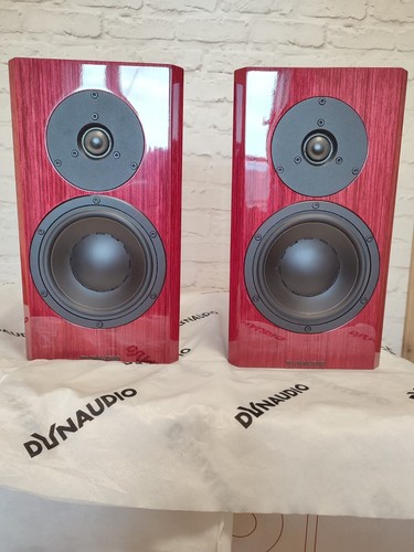Dynaudio special immaculate - special,