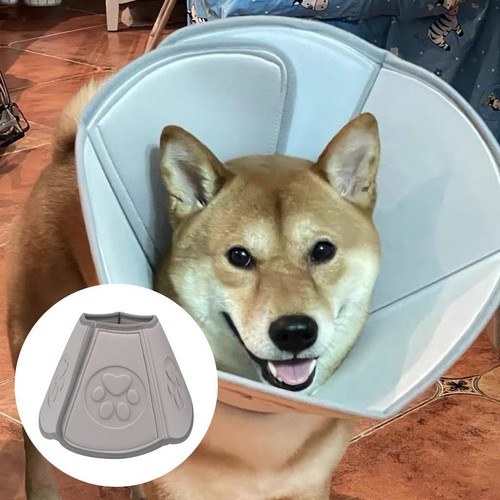 Adjustable dog cone collar - cone,