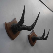 Pair of Antique Vintage