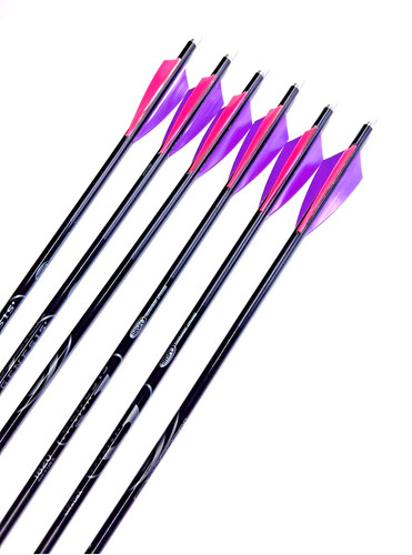 Nasp genesis youth - nasp, arrows