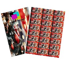 VivaMK  Christmas Robin Stickers