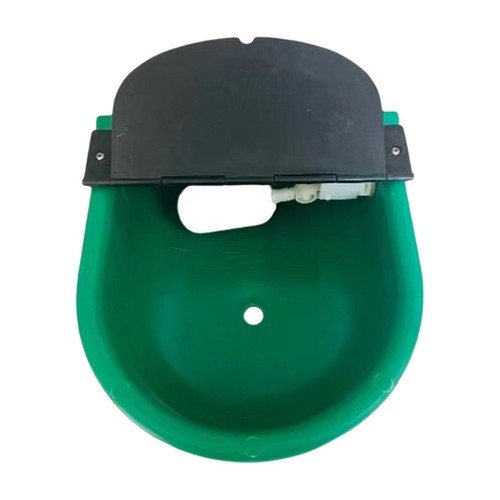 Automatic water bowl farm - bowl,