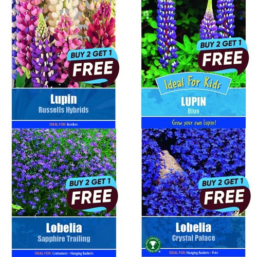 Flower seeds grow - flower, uk