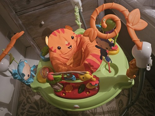Fisher price roarin - fisher-price, roarin'