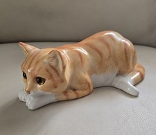Just Cats & Co. Staffordshire