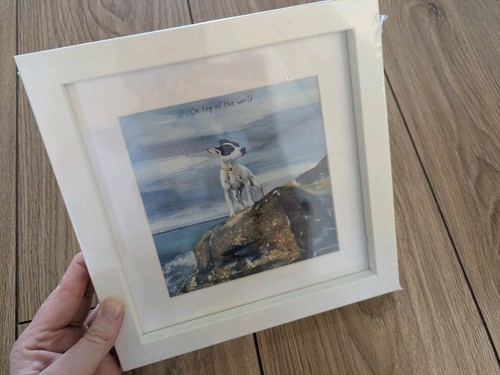 Brand new jack - jack, russell