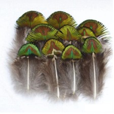 Peacock Green Lustrte Feathers 4cm - 7cm Fly Craft Hat Arts Costume Plume UK