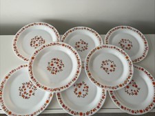 Arcopal Scania Dinner Plates 5