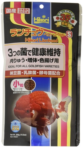Hikari ranchu baby gold - hikari,