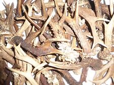 1KG. MIX OF SCOTTISH ROE DEER